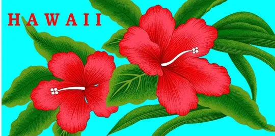 Big Hibiscus Beach Towel