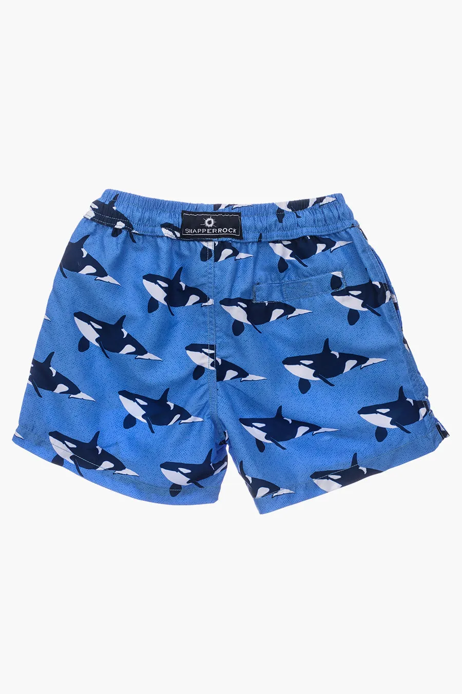 Boys Swim Snapper Rock Orca Ocean Volley
