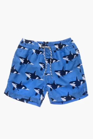 Boys Swim Snapper Rock Orca Ocean Volley