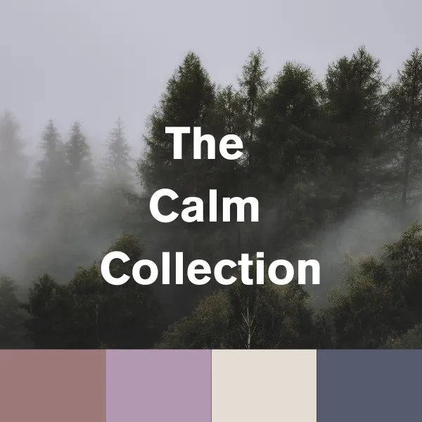 (Calm) 4pk Cotton Boyshorts