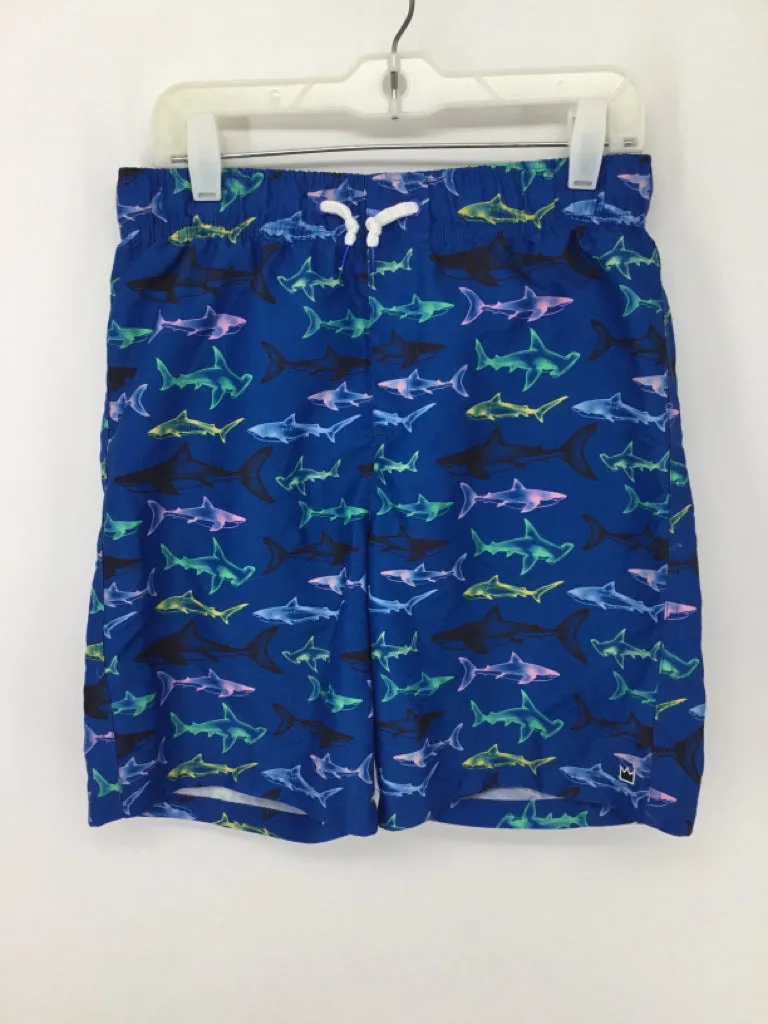 crown & ivy Child Size 10 Blue Sharks Swimwear - boys