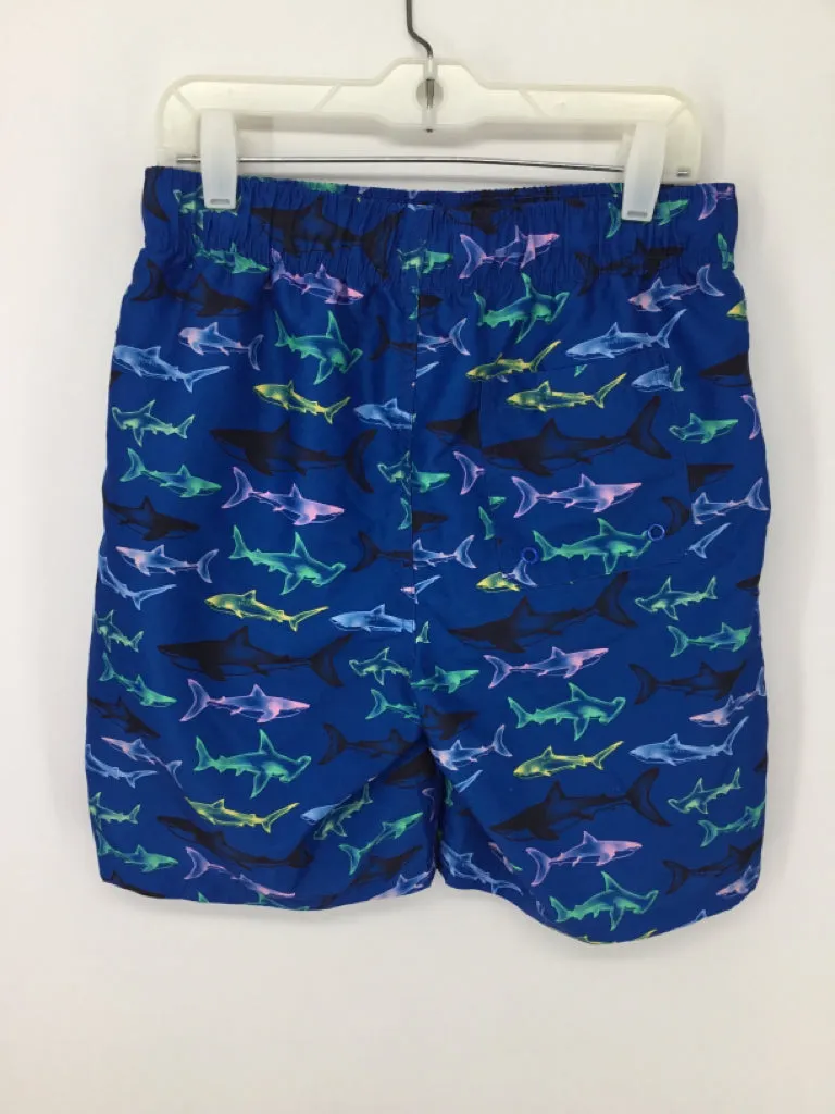crown & ivy Child Size 10 Blue Sharks Swimwear - boys