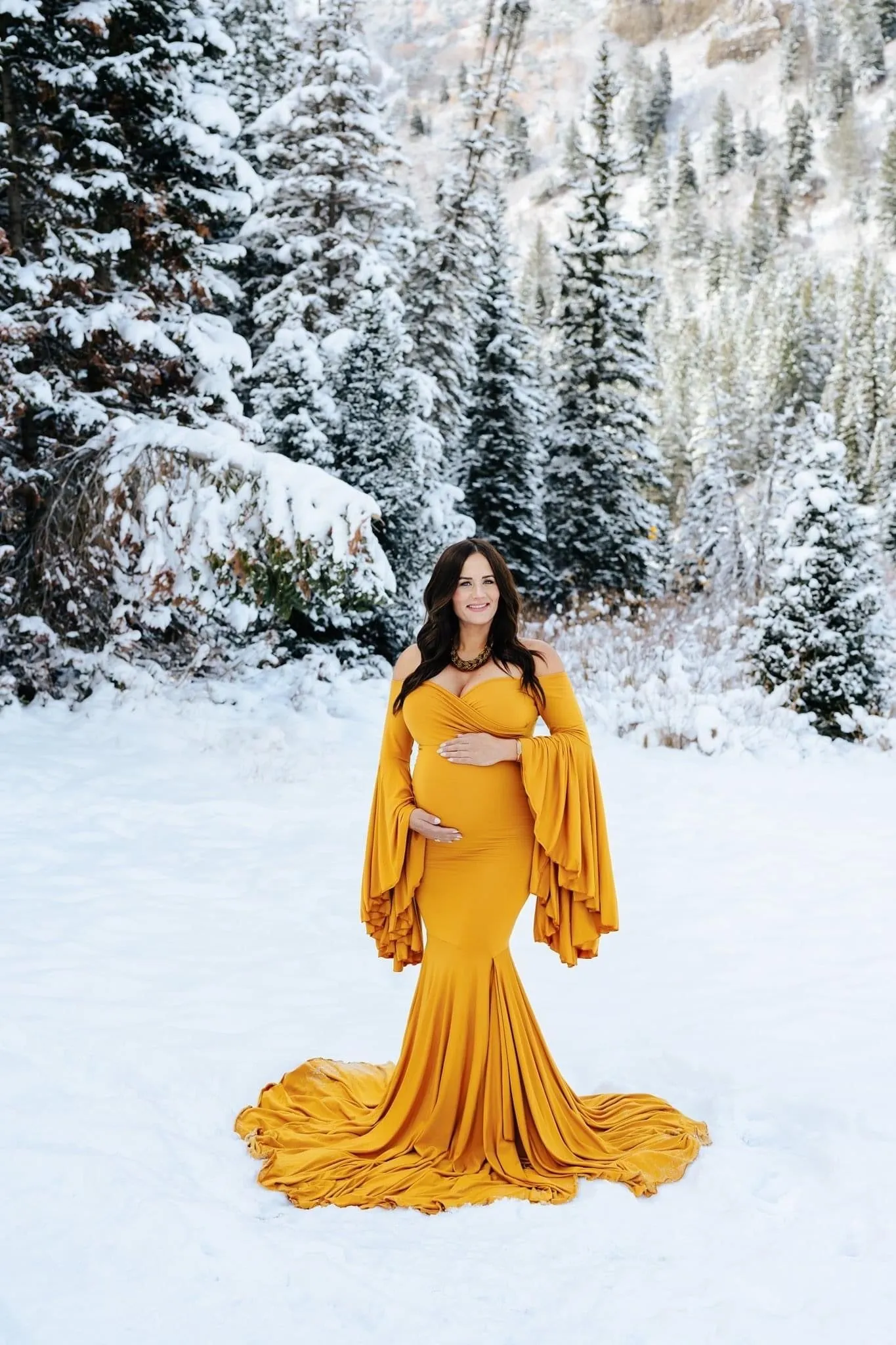 Designarche Luxe Maternity Long Gown