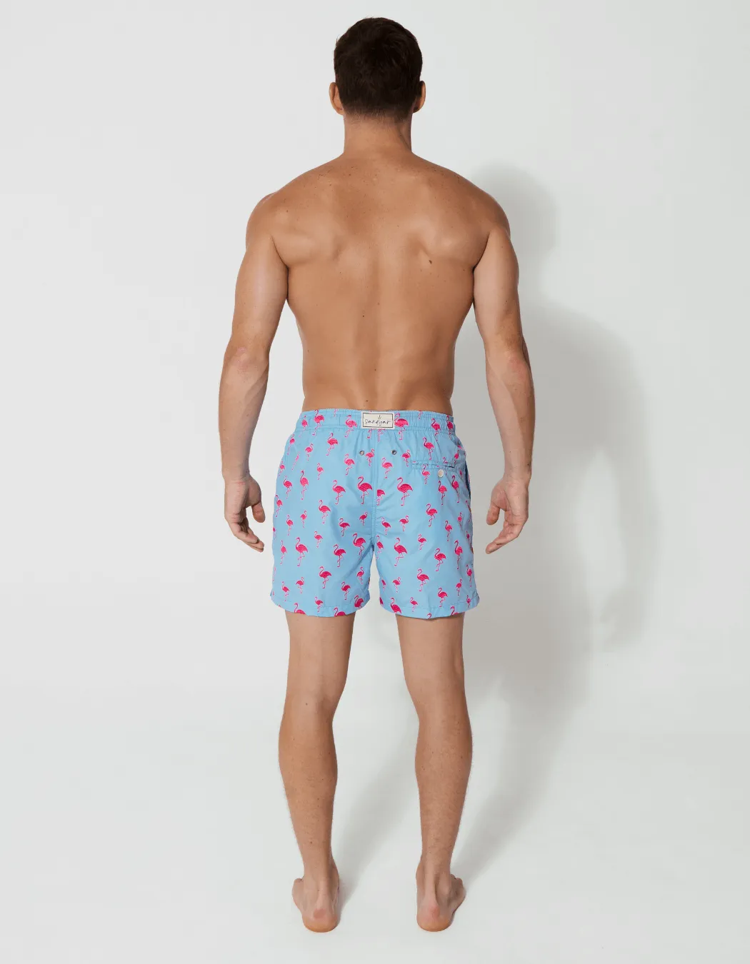 Embroidered Pink Flamingo Mens Swim Shorts