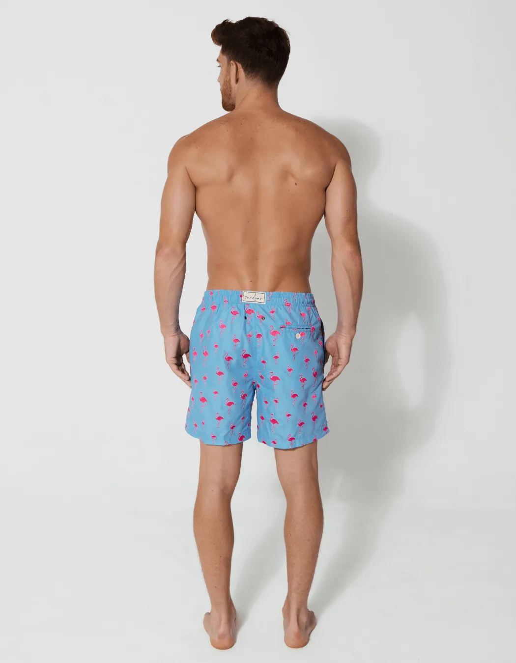 Embroidered Pink Flamingo Mens Swim Shorts