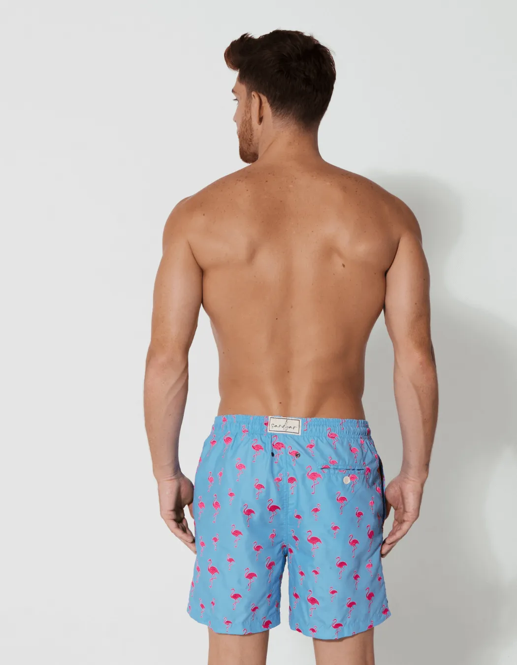 Embroidered Pink Flamingo Mens Swim Shorts