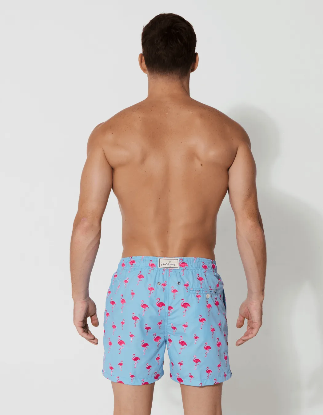 Embroidered Pink Flamingo Mens Swim Shorts