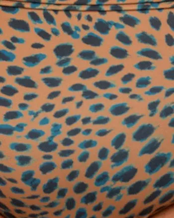 Hana High-Waisted Bikini Bottoms | Black/Cheetah