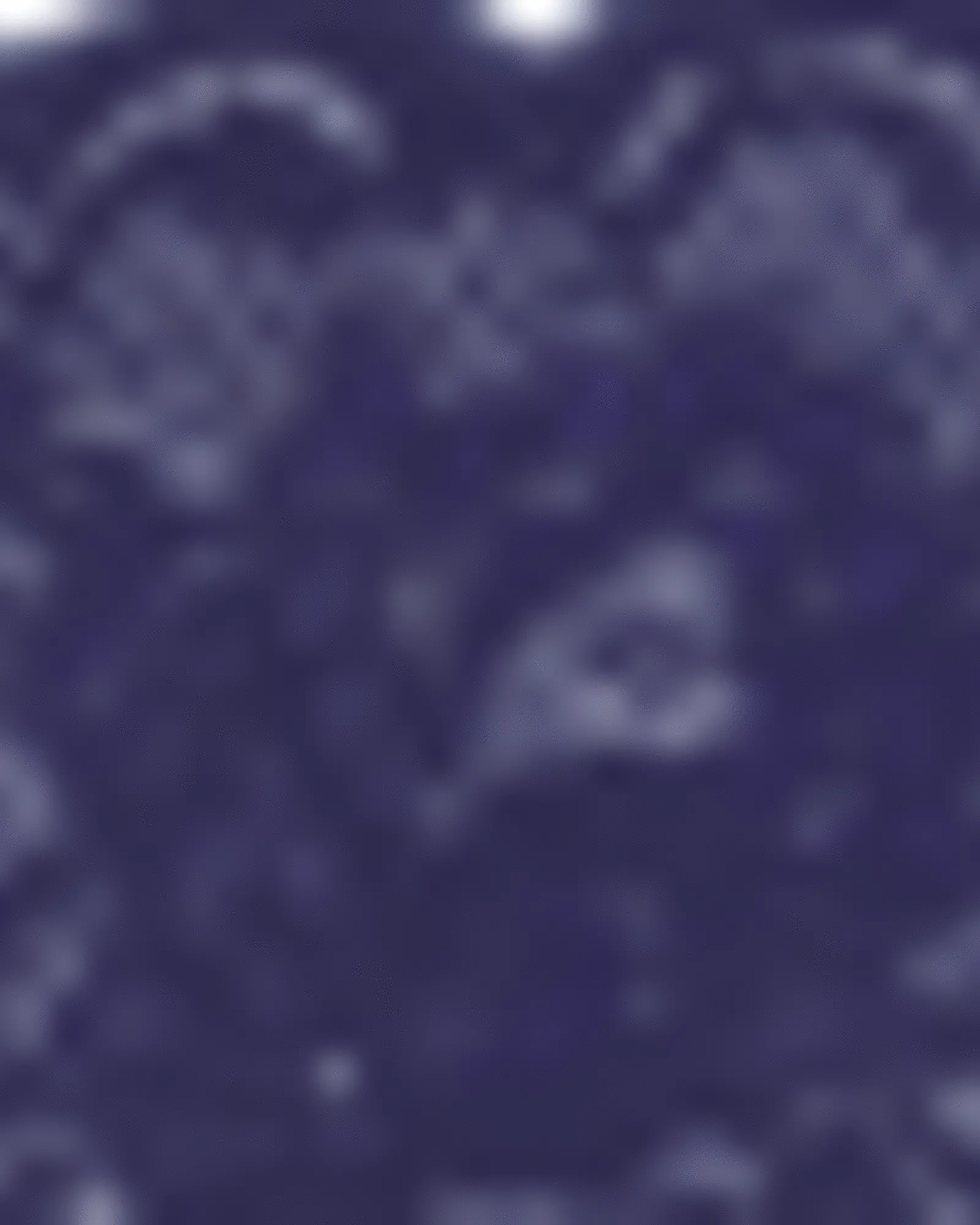Hottie Lace Boyshort | Navy Blue