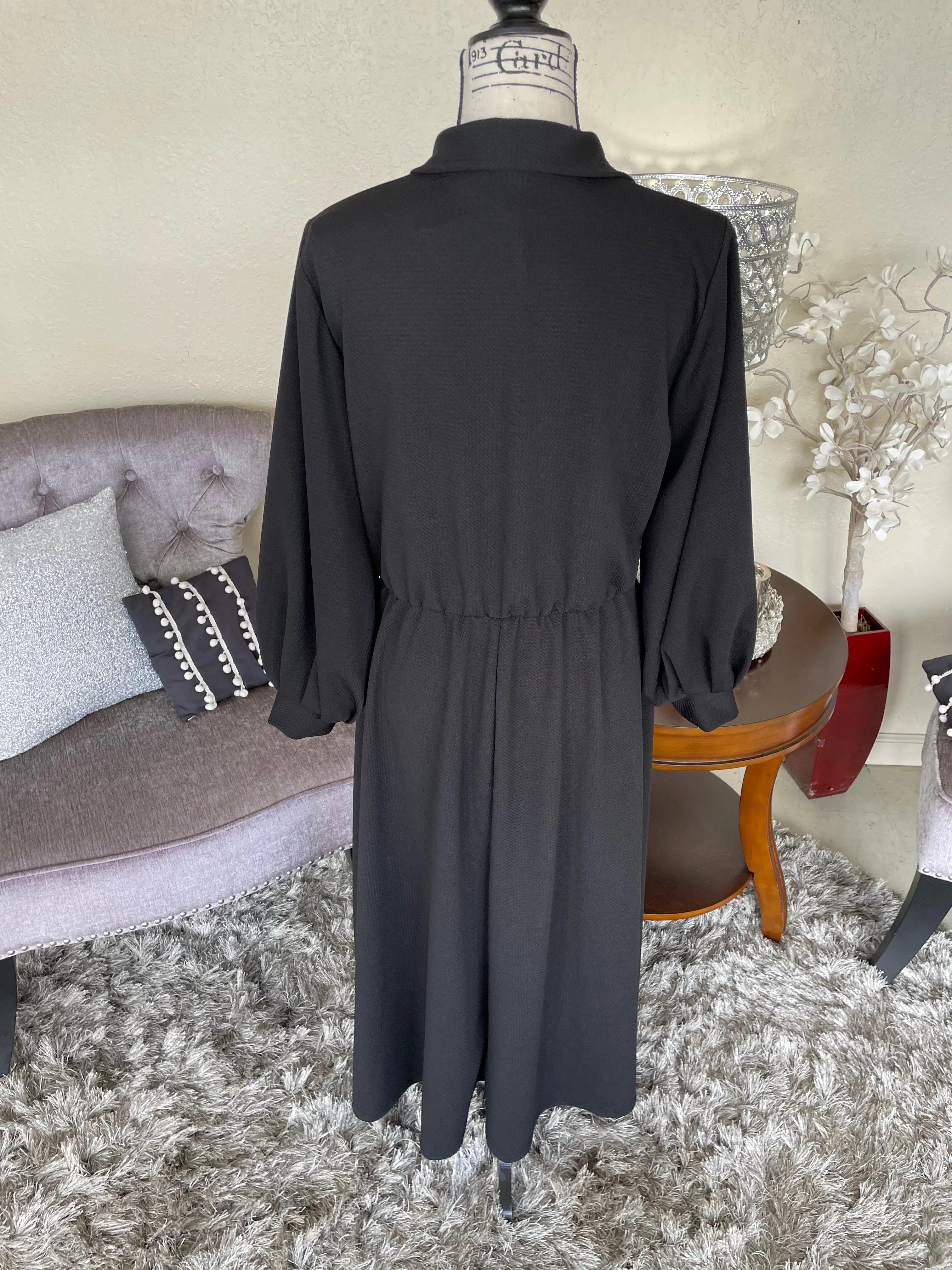 Kate Shirt Waist Dress (PL)