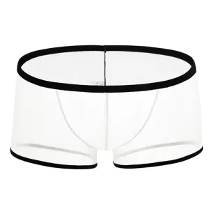 Low Waist Mesh Briefs