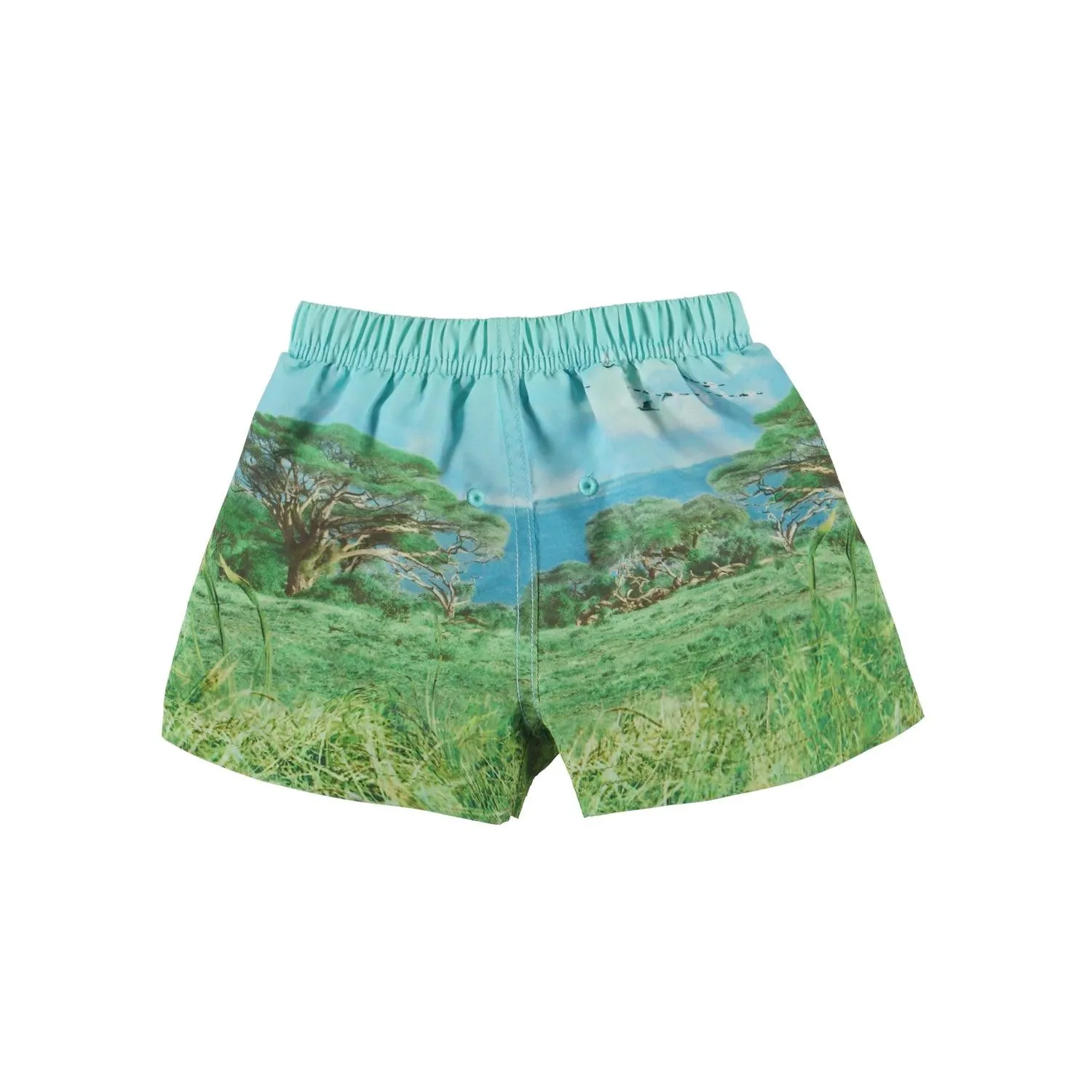 Newton Swim Shorts | Lion Cub | Molo