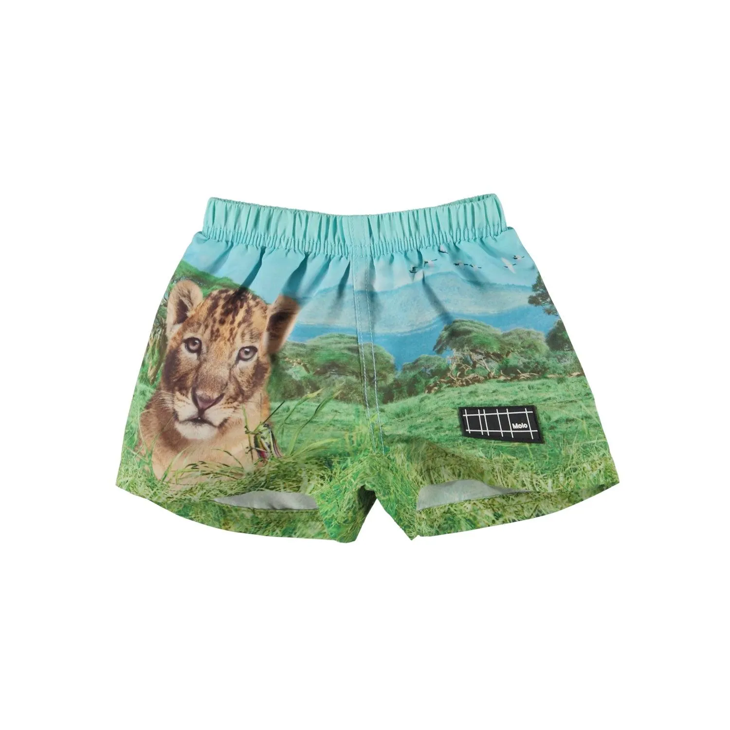 Newton Swim Shorts | Lion Cub | Molo