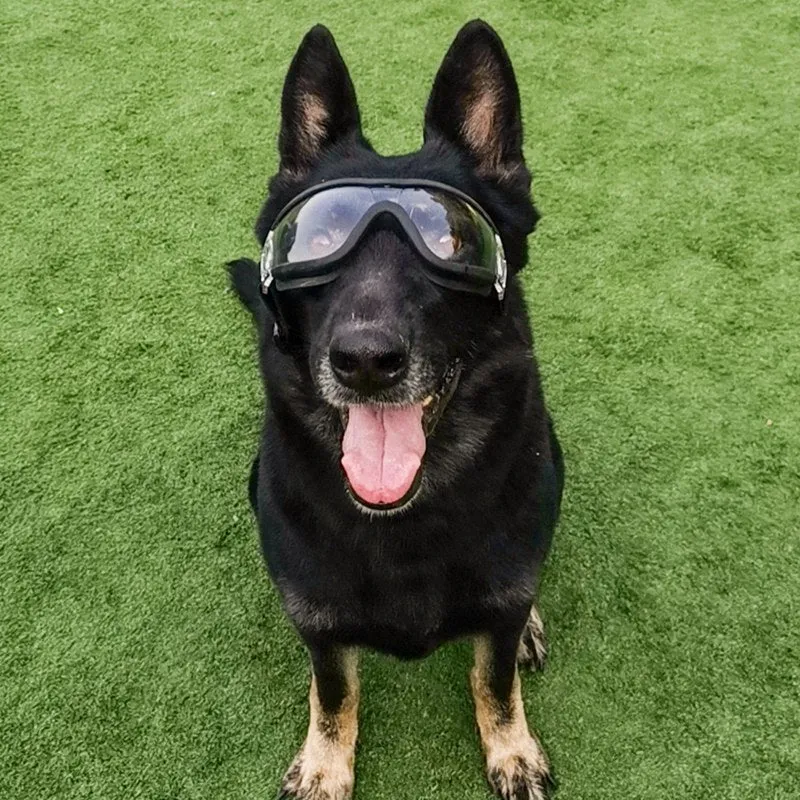 RUBYDINK Dog Swim Goggles