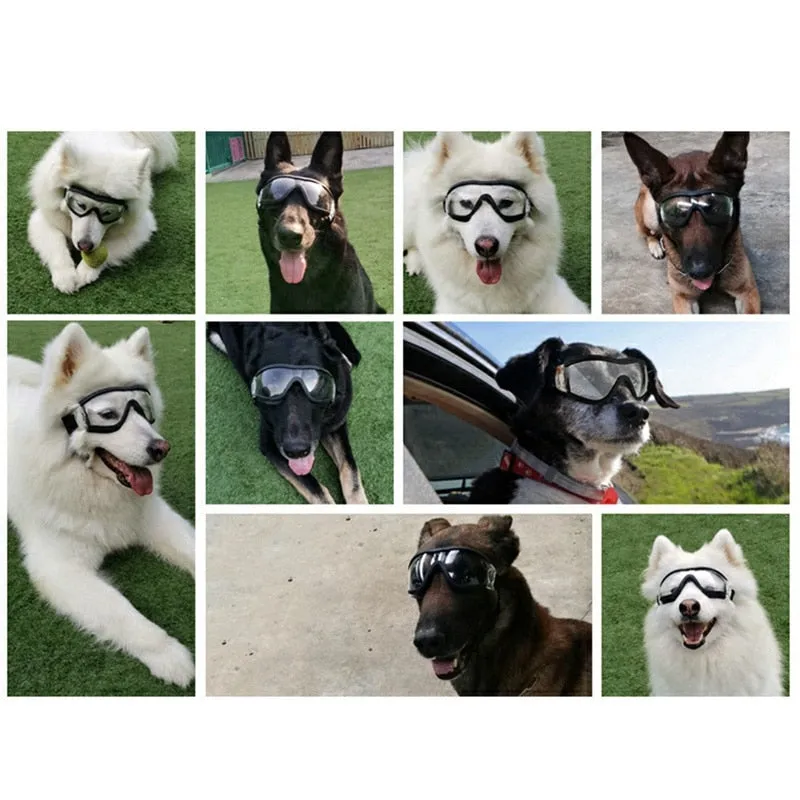 RUBYDINK Dog Swim Goggles