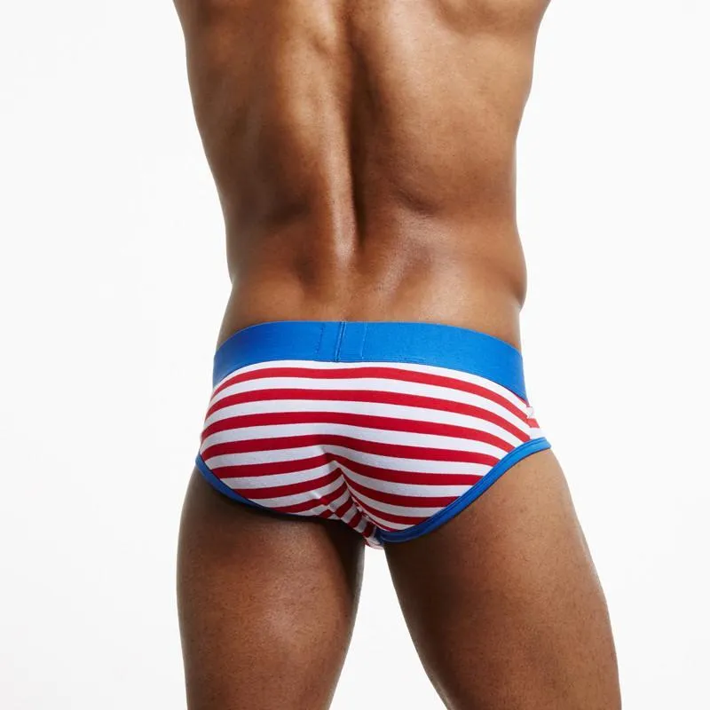 Seeinner Striped Briefs