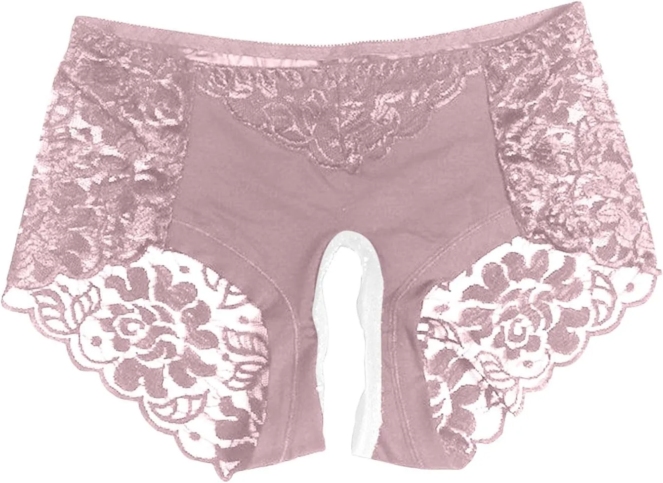 Womens Sexy Cheeky Underwear Seamless Panties Mesh Lace Bikini Briefs See Through Sheer Slutty Naughty Sex Lingerie